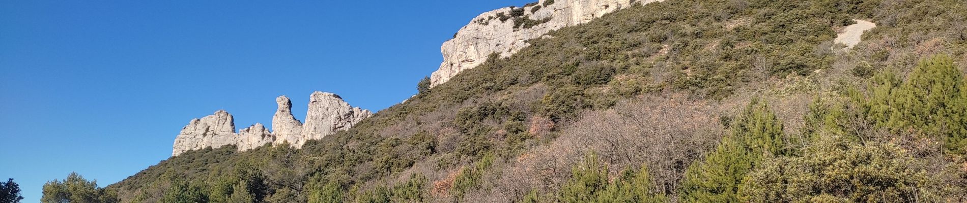 Tocht Stappen Gémenos - Plan des Vaches - Photo