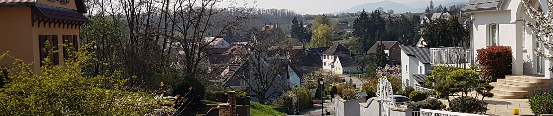 Tour Wandern Dahlenheim - Circuit du Rutscherle variante - Photo