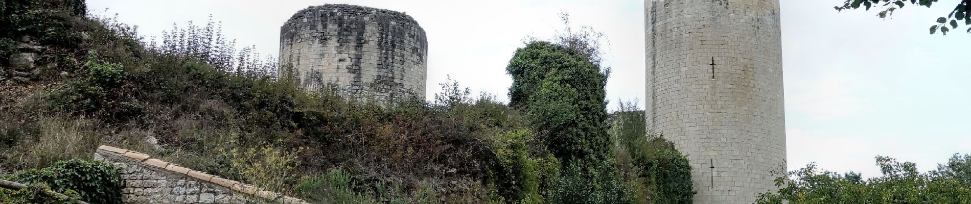 Punto de interés Échiré - Château du Coudray-Salbart - Photo