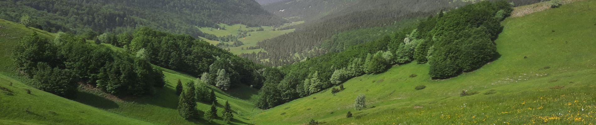 Tocht Stappen Châtillon-en-Diois - Vallon Combau-Tête Chevalière 13km - Photo