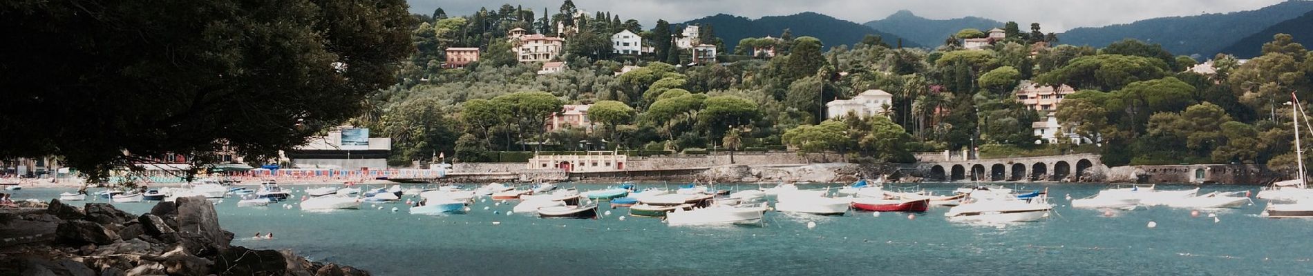 Percorso A piedi Rapallo - Rapallo - Monte Pegge - Photo