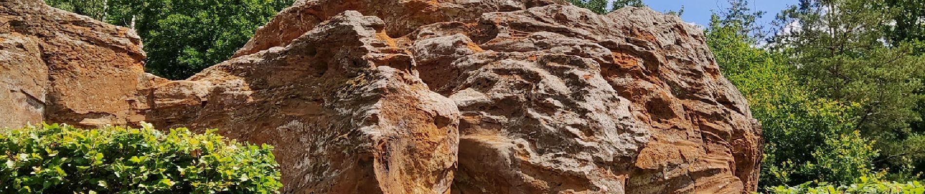 Excursión Senderismo Chaumont-Gistoux - Sur les traces de la préhistoire  - Photo