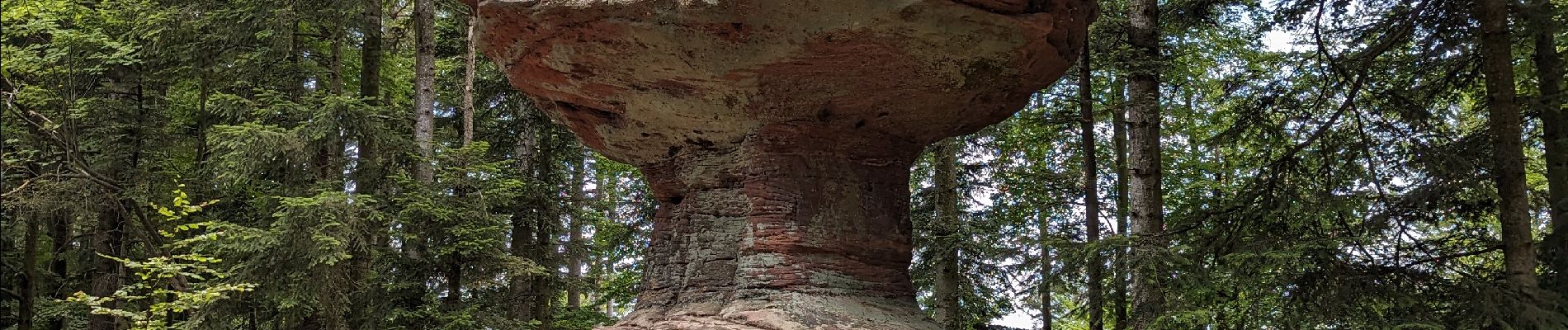 Randonnée A pied Saint-Quirin - 2023-06-18 Le Canceley, le Grd Rommelstein et le Rocher du Calice - Photo