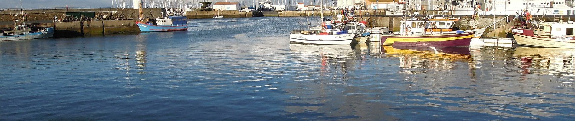 Percorso A piedi L'Île-d'Yeu - La Sente du Noroît - Photo