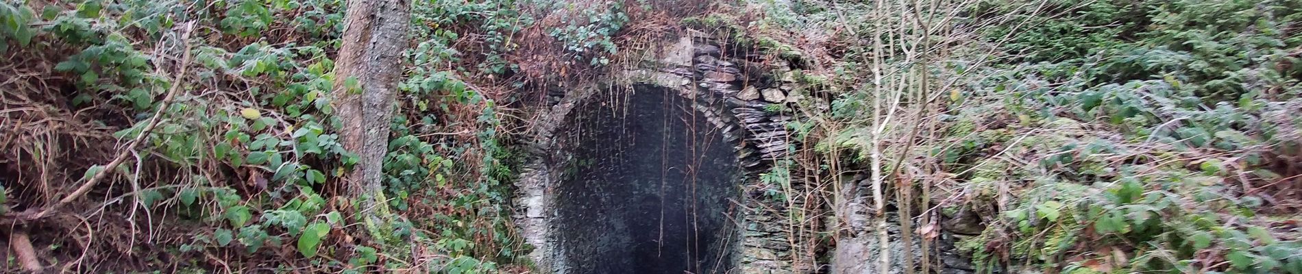 Tocht Stappen Viroinval - Le Trou du Diable à Oignies en Thiérache - Photo