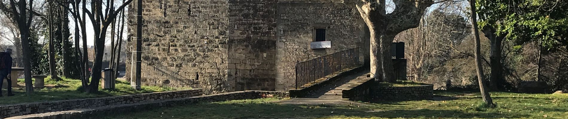 Randonnée Marche Aubais - Au pays de la Bouvine - Photo