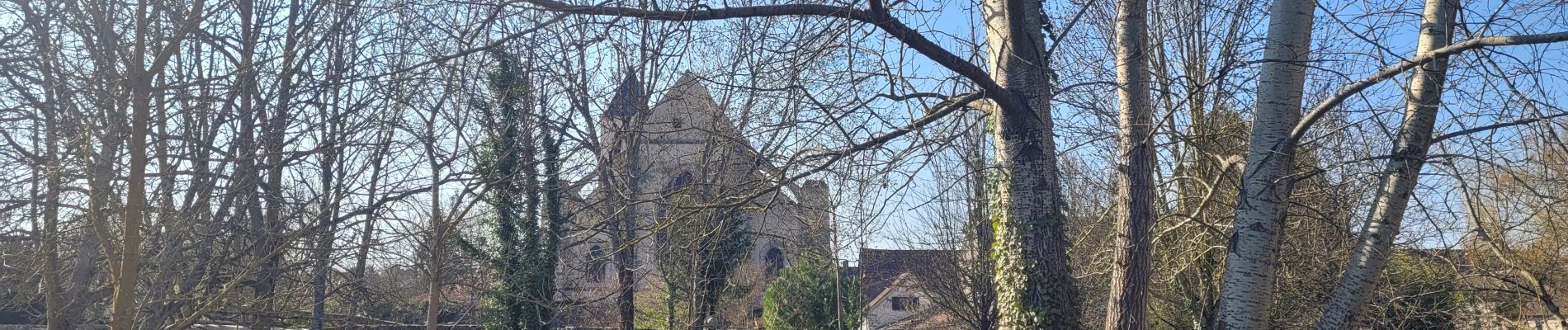 Randonnée A pied La Ferté-Alais - Boucle Orveau - Ferté Alais 27 km - Photo