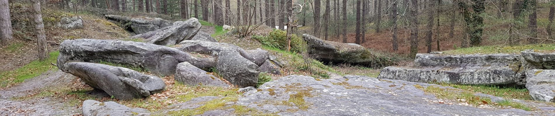 Randonnée Marche Vaumoise - forêt de Retz Vaumoise - Photo