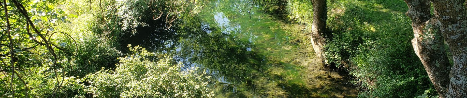 Percorso Marcia Sainte-Anastasie-sur-Issole - Les Ribas-la Clape - Photo