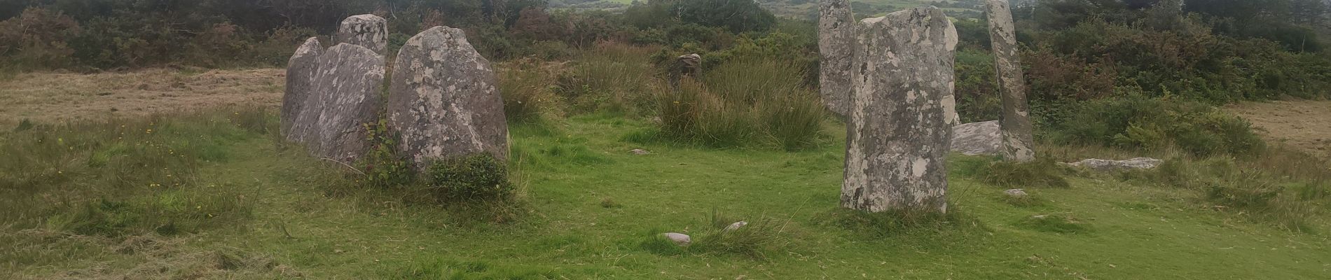 Point of interest West Cork - Derreenataggart Stone Circle - Photo