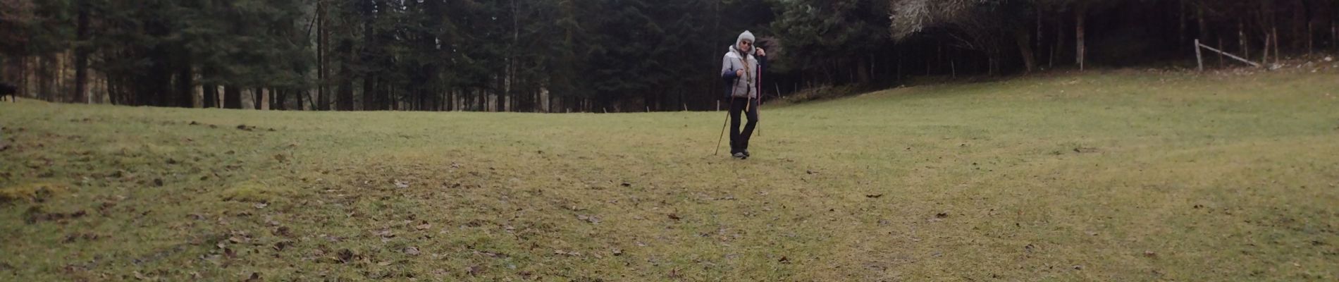 Tocht Stappen Passonfontaine - essai pré de vaire - Photo