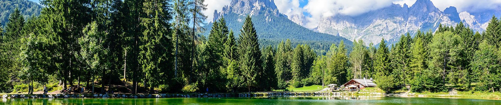 Tocht Te voet Primiero San Martino di Castrozza - Sentiero 