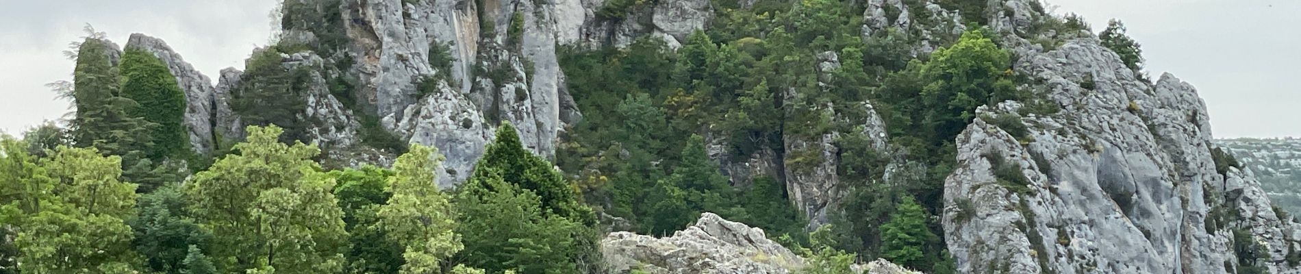 Randonnée Marche Rougon - TM-Rougon : Mourre du Chanier - Photo