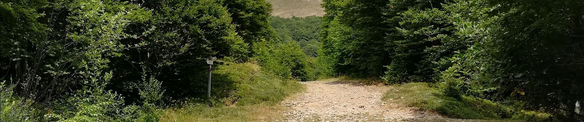 Randonnée Marche Laveissière - Font d'Alagnon - Photo