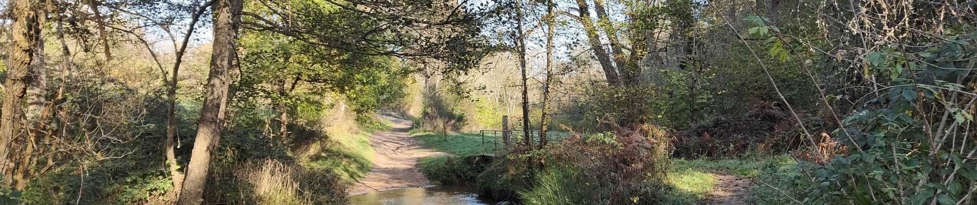 Tocht Stappen Périgneux - Boucle Marieux -Fressonnais - Photo