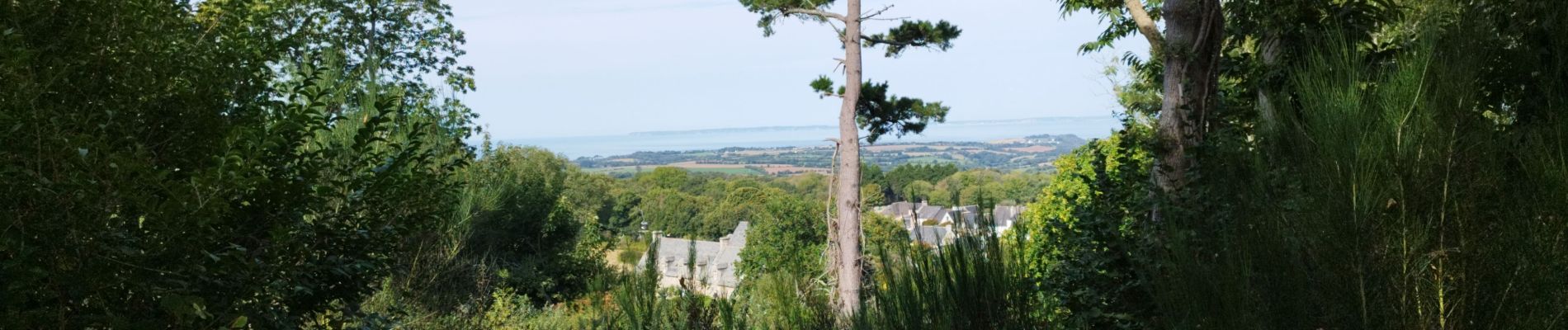 Randonnée Marche Locronan - La randonnée de Locronan par mes chemins creux  - Photo