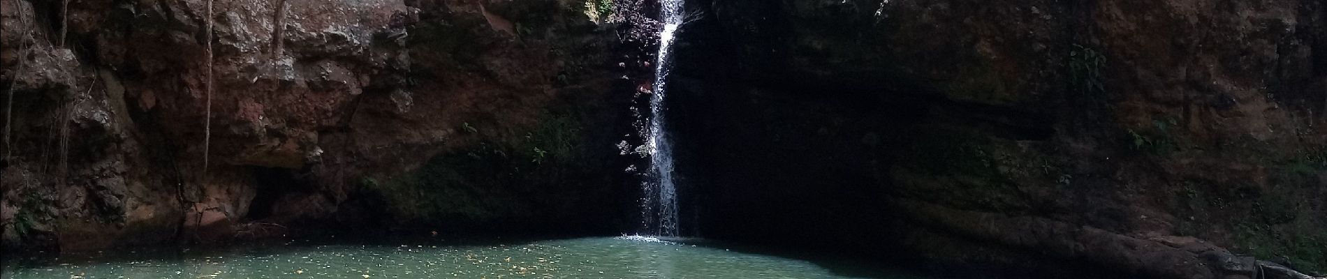 Tocht Stappen Baillif - Cascade Kalinago - Roches gravées du Plessis - Photo