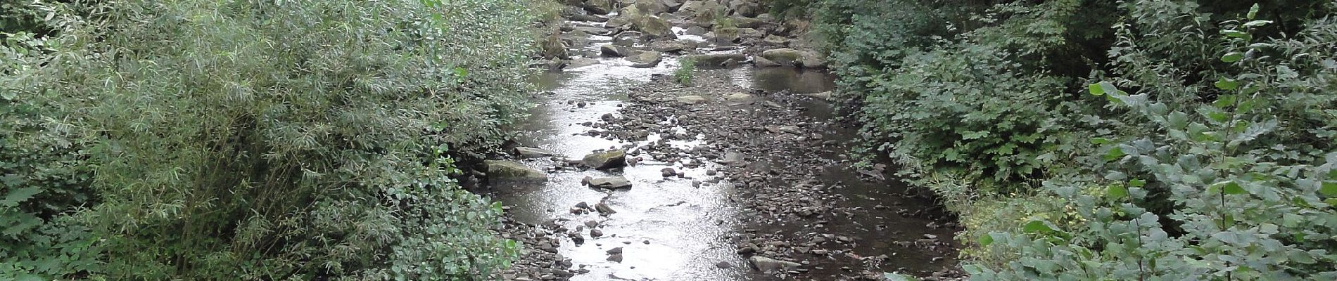 Trail On foot Komorní Lhotka - NS Stezka pokladů Godula - Photo