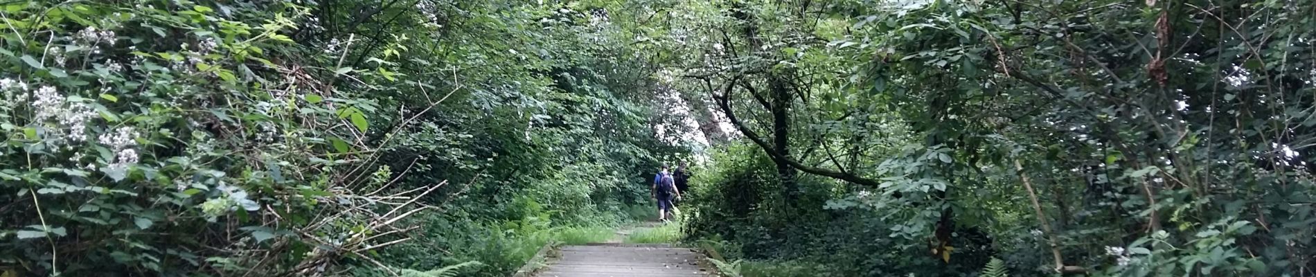 Tocht Stappen Abère - GR 653 2ÈME PARTIE - Photo