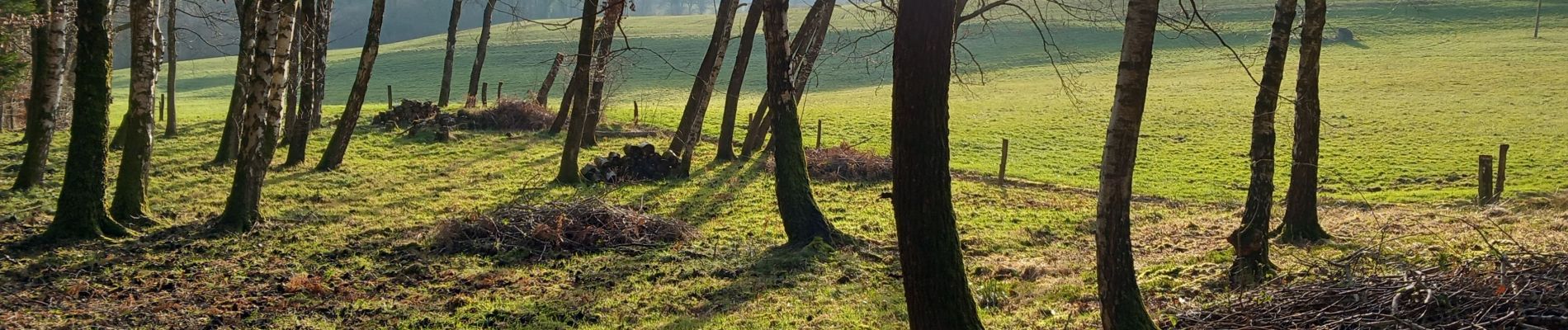 Tour Wandern Arches - arches nouvel an - Photo