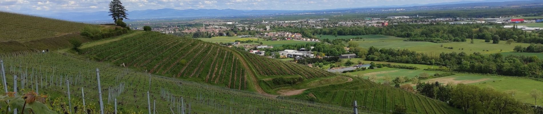 Randonnée Marche Steinbach - Steinbach - Photo