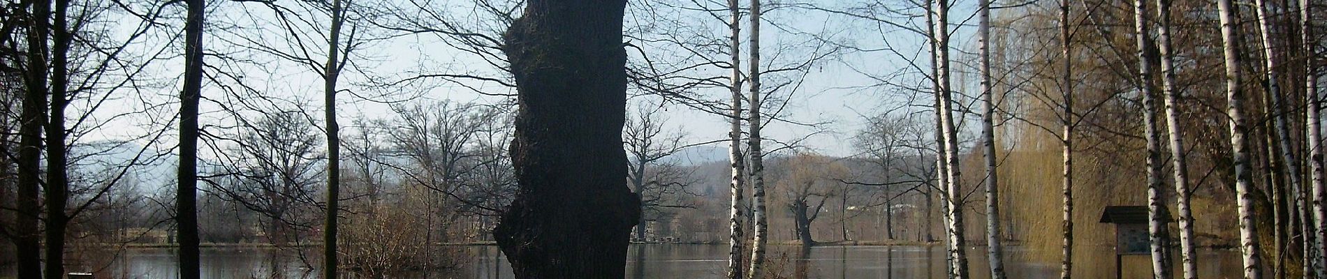 Tour Zu Fuß Zittau - LG-Gelber Punkt - Photo