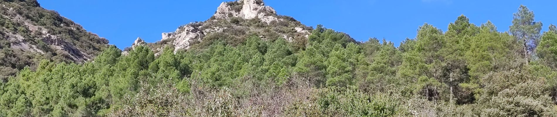 Tocht Stappen Félines-Minervois - félines Minervois - Photo