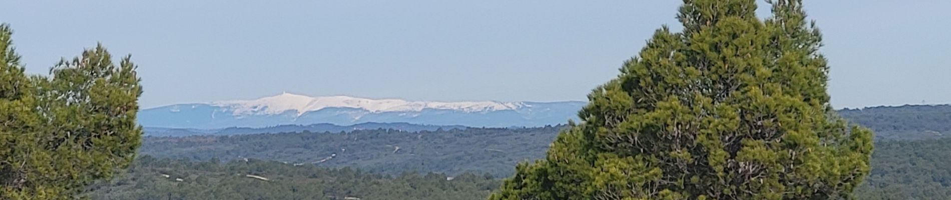 Trail Walking Aix-en-Provence - la Merendole le jas des vaches - Photo