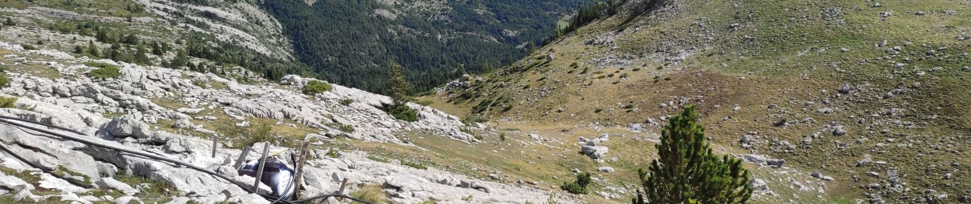 Randonnée Marche Le Dévoluy - Tête de Plate Longue - Photo