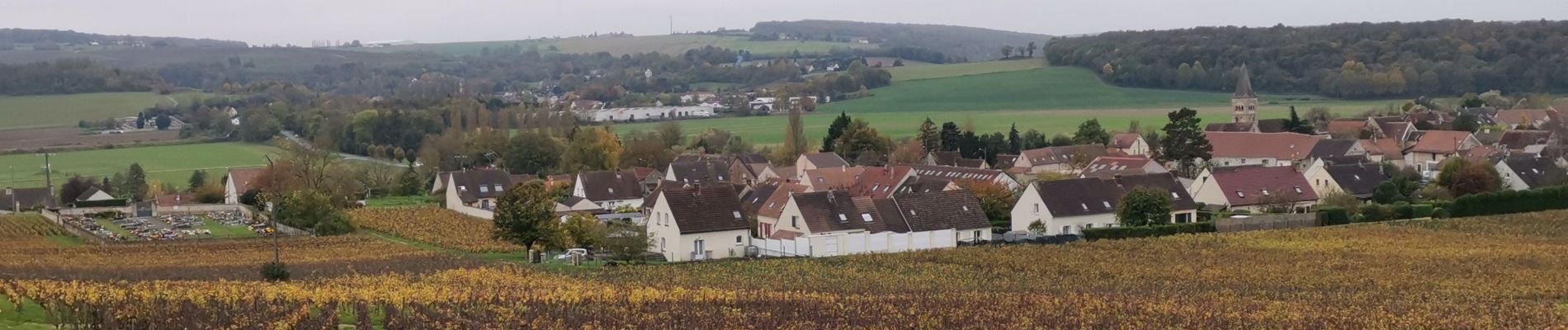 Tocht Stappen Château-Thierry - RP51-06 Château-Thierry à Nogent-l'Artaud - Photo