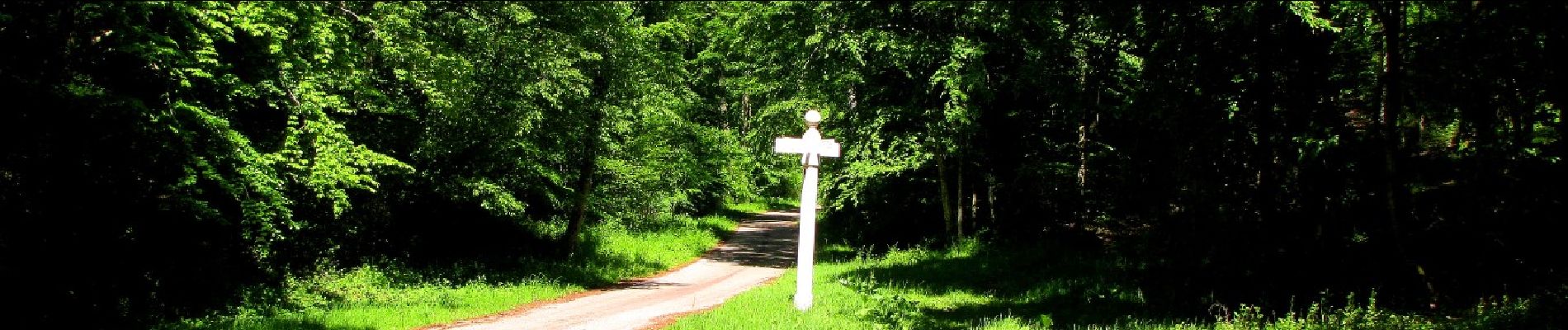 Point d'intérêt Trosly-Breuil - Point 34 - Photo