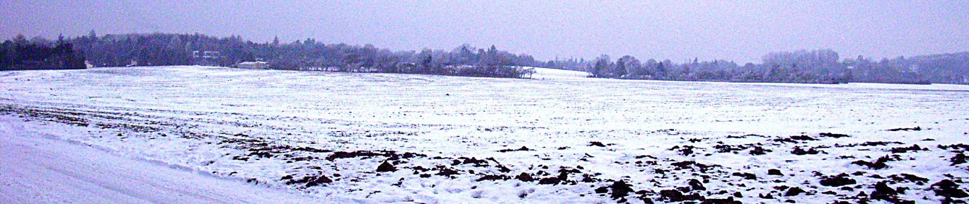 Percorso A piedi Sconosciuto - Rundwanderweg Darmstadt 5: Oberfeld-Weg - Photo