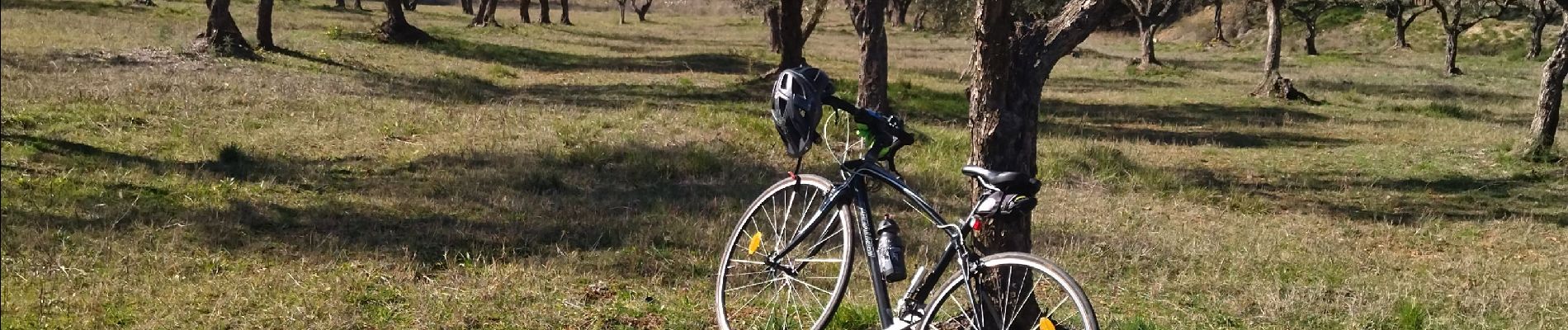 Tocht Wegfiets Cabasse - Vélo:  Cabas, le Luc, le Cannet-des-Maures, Le Thoronet et Carcès - Photo