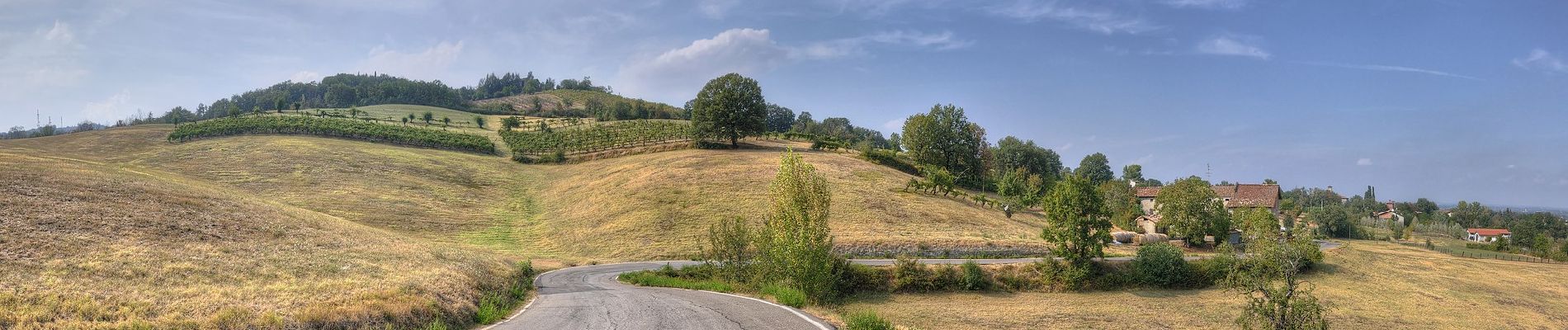 Percorso A piedi Scandiano - Ventoso - Monte De' Gesso - Pianderna - Monte Evangelo - San Ruffino - Ventoso - Photo