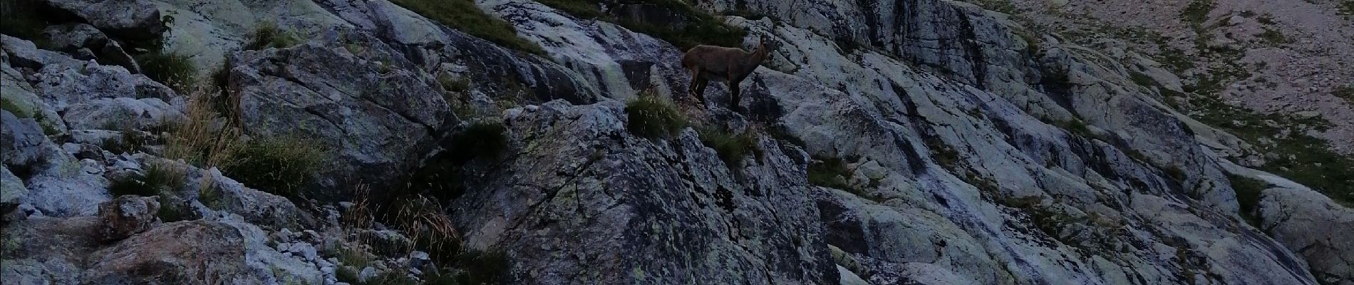 Trail Walking Belvédère - Mont Clapier   - Photo