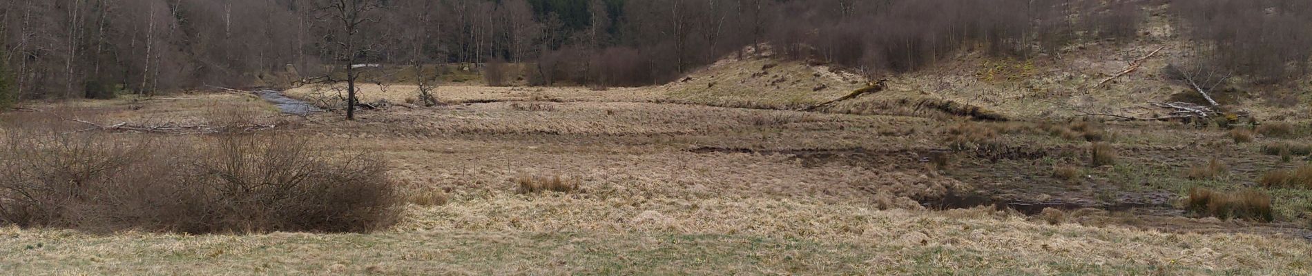 Tour Wandern Monschau - Kalterherberg - rocher du Bieley - Photo