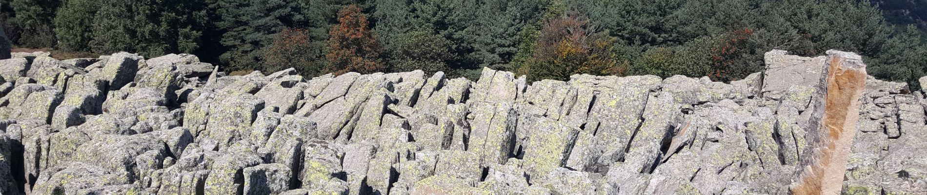 Percorso Marcia Montselgues - Montselgues Lespinas Liepertes - Photo