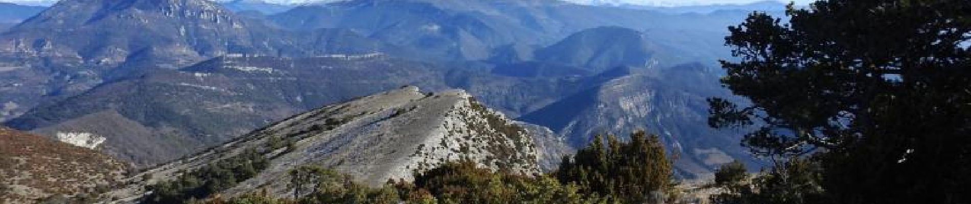 Tocht Stappen Teyssières - Le Cougoir Fonturière 12km. - Photo