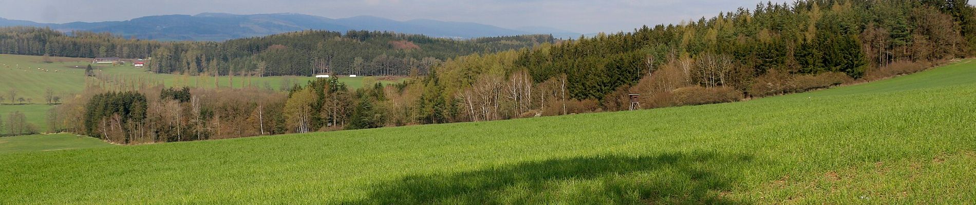 Trail On foot Pasečnice - NS V Zelenovském údolí - Photo