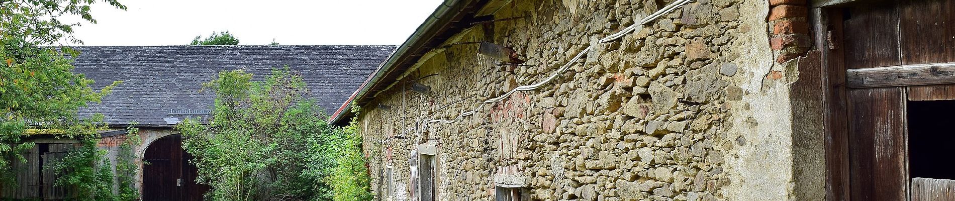 Randonnée A pied Pfarrkirchen im Mühlkreis - Traumblickrunde - Photo