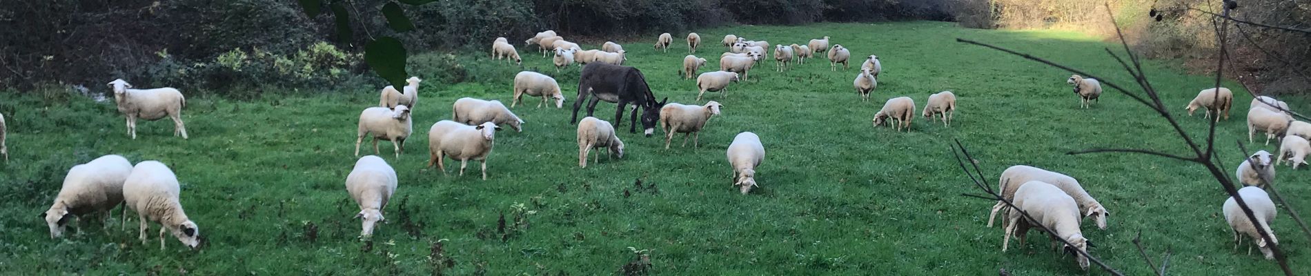 Tour Wandern Martel - Murel/Oeil de la Doue - Photo