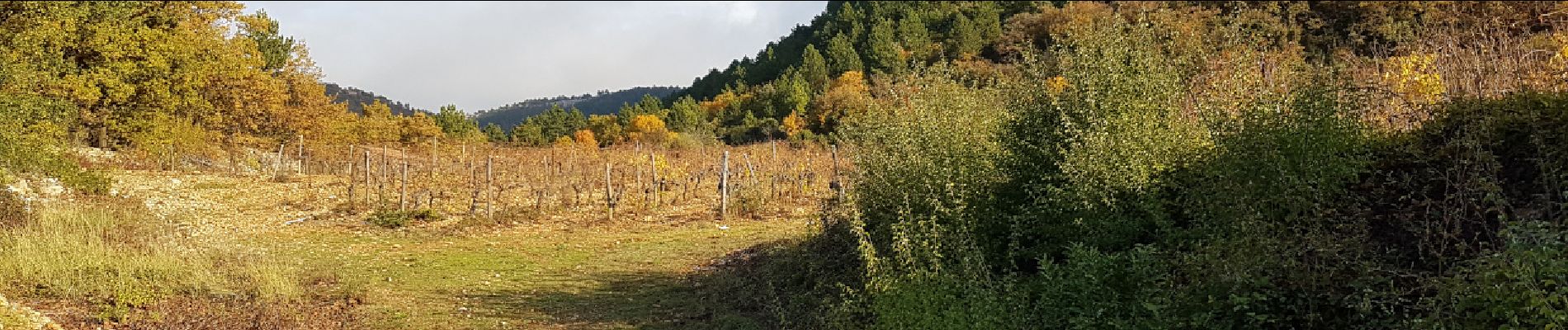 Trail Nordic walking Soubès - Camin Farrat - Photo