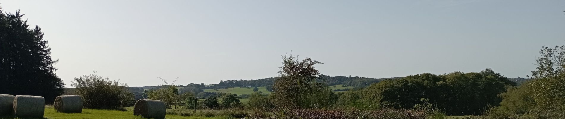 Excursión Senderismo Érezée - le trou du loup - Photo