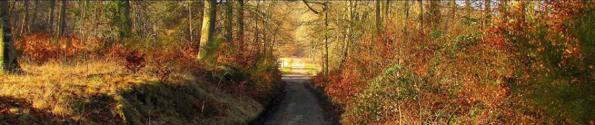 Punto de interés Vieux-Moulin - Départ et Arrivée - Photo