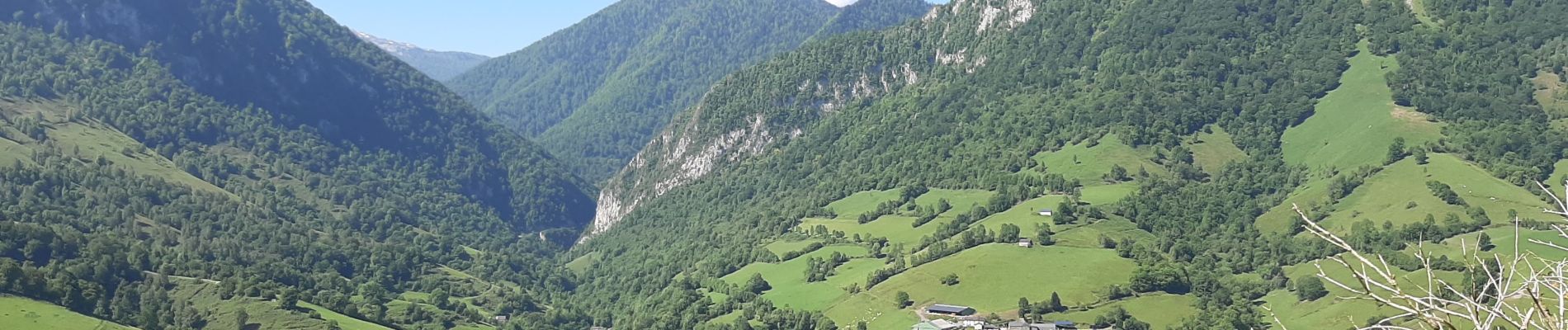 Randonnée Marche Lourdios-Ichère - Circuit les fougeraies lourdios-Ichère - Photo