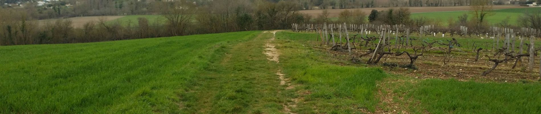 Excursión Senderismo Champniers - La randonnée sandwich entre la LGV et la RN10 - Photo