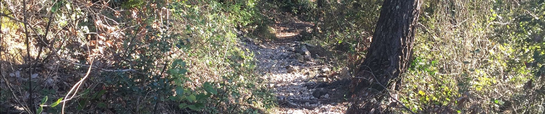 Excursión Senderismo Le Broc - L esteron  AM. 21/02/2019 - Photo