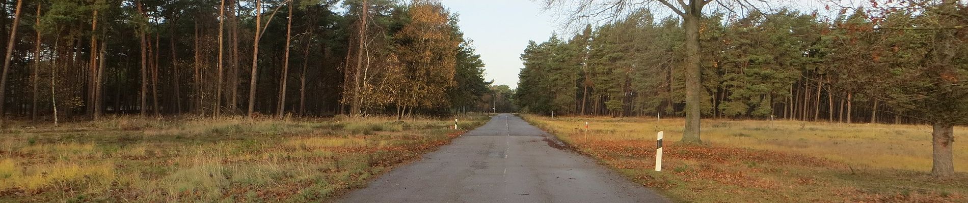 Randonnée A pied Brüggen - NSG Brachter Wald Wanderweg Rot - Photo