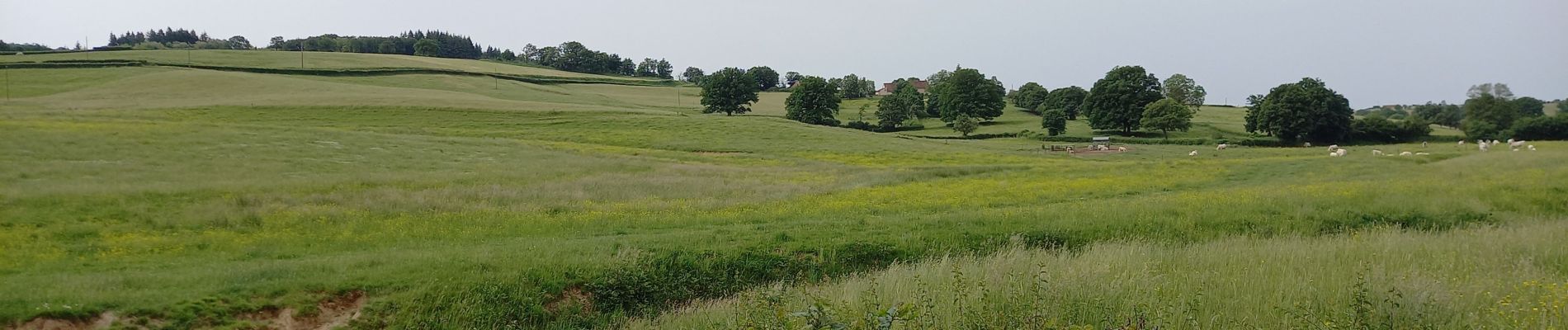 Tocht Stappen Saint-Romain-sous-Gourdon - st romain sous gourdon - Photo