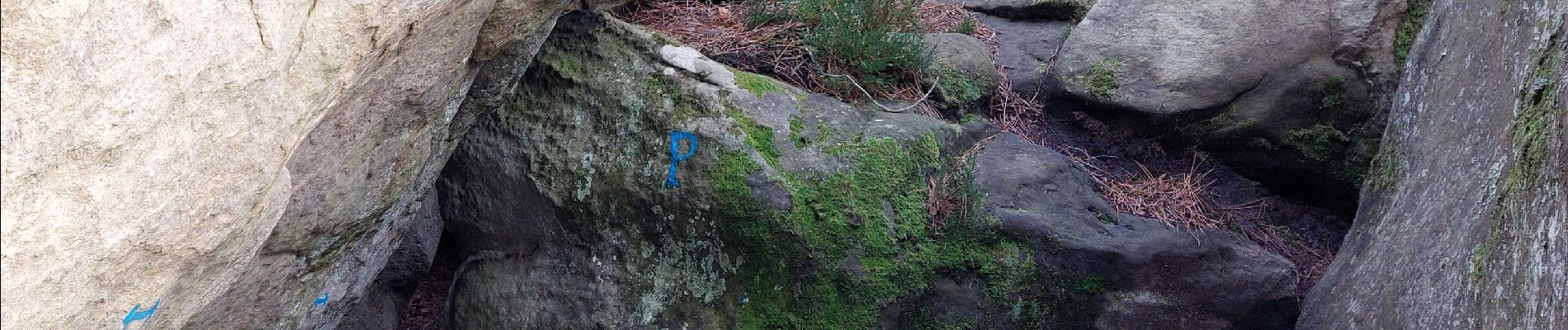 Point d'intérêt Fontainebleau - P Grotte de la Pucelle - Photo